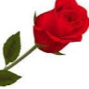 Meet your Posher, Niya